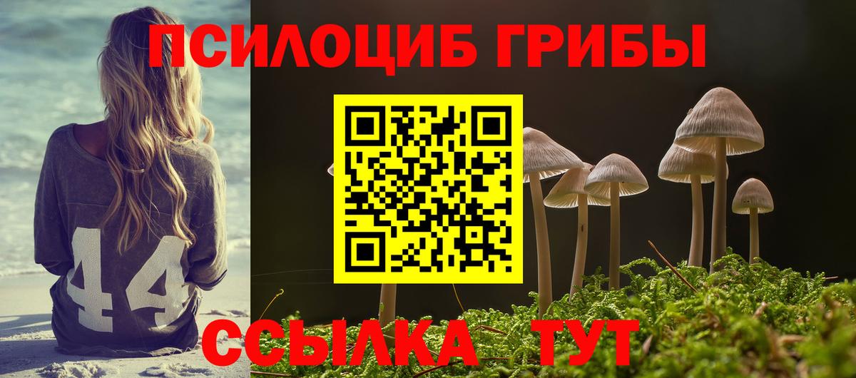 Галлюциногенные грибы мицелий  Псилоцибиновые грибы Psilocybe  Вход с VPN  Дзержинск 
