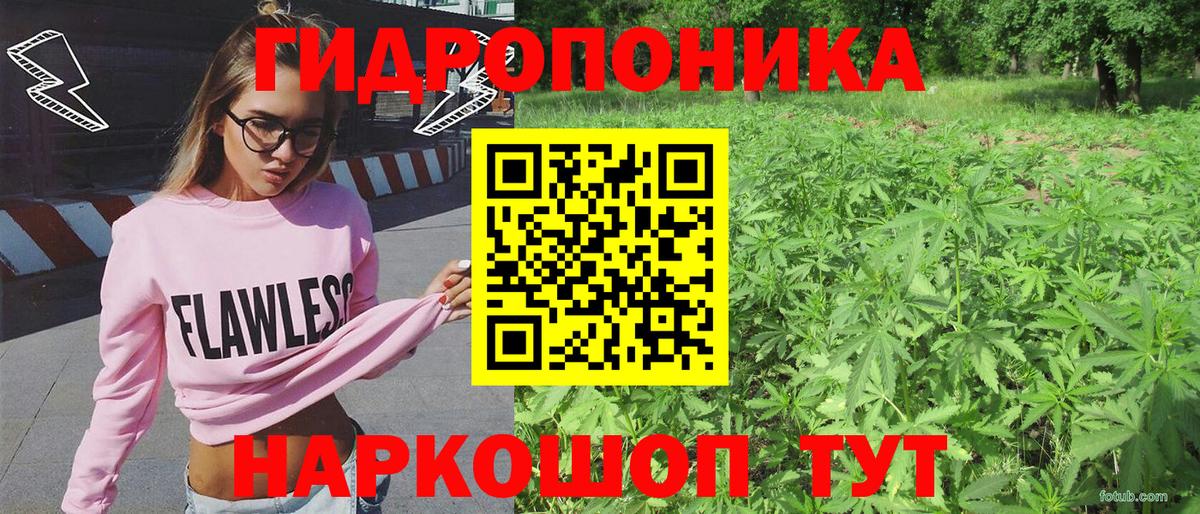 Каннабис план Дзержинск